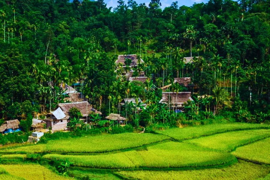 Bản Đôn: ¡Donde la naturaleza y la cultura se encuentran!
🔗Contacta para más información.
📞 WhatsApp: +84976 024 986
👉 Sitio web: viajevietnam.asia
#vietnam #viaje #vietnamviaje #viajevietnamasia #TourNorteVietnam #NorteVietnam #PuLuong #BellezaSalvaje #ViajeAPuLuong