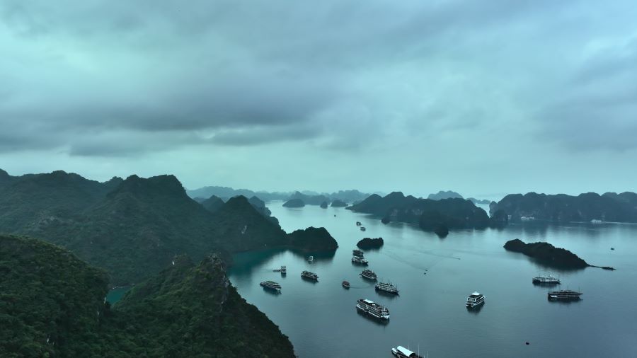 Halong: ¡Donde la naturaleza crea leyendas!
🔗Contacta para más información.
📞 WhatsApp: +84976 024 986
👉 Sitio web: viajevietnam.asia
#vietnam #aventura #vietnamviaje #viajevietnamasia #ecursionesbahíadehalong  #explorarlabahíadehalongencrucero #BahíaDeHalongVietnam