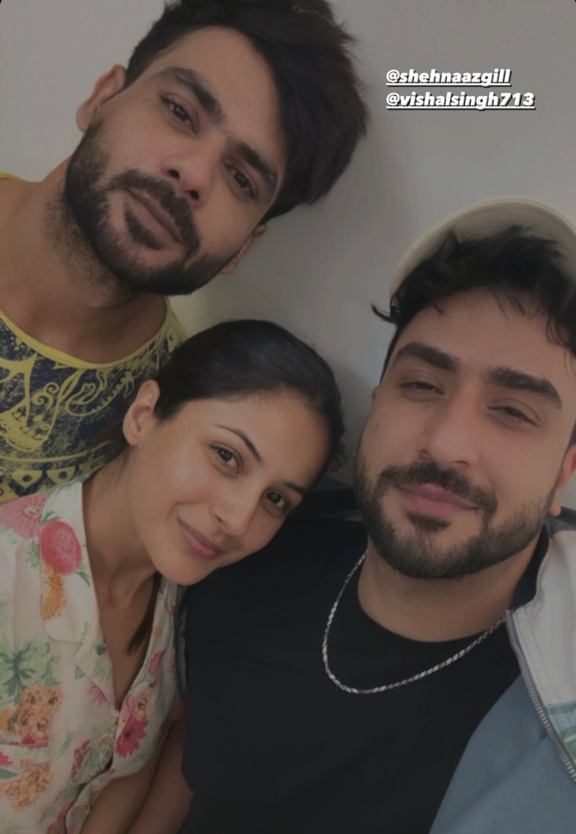 Loved this picture 😍 #ShehnaazGill