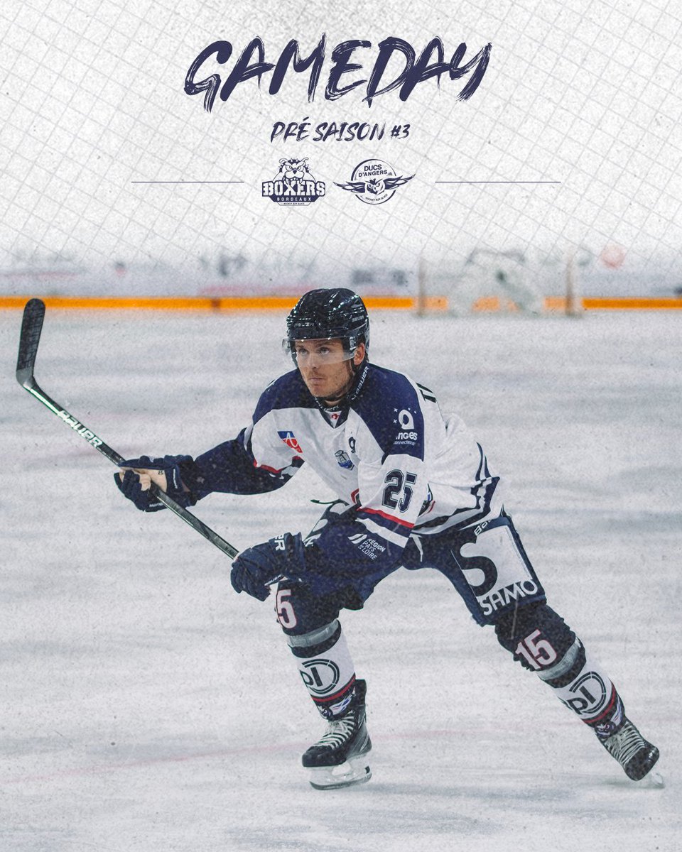 Les Ducs d'Angers tweet media