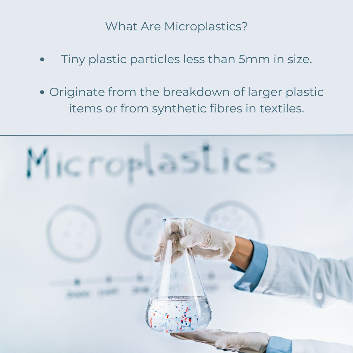 TextileJj's tweet photo. You've more than likely heard of micro-plastics, they are a major issue in the world today. But what are they, what causes them and what can you do to help?
Here's the low-down ➡️
#microplastics #microplastic #microplasticpollution #microplasticfree #plasticpollution https://t.co/Y5JNng8ZUh