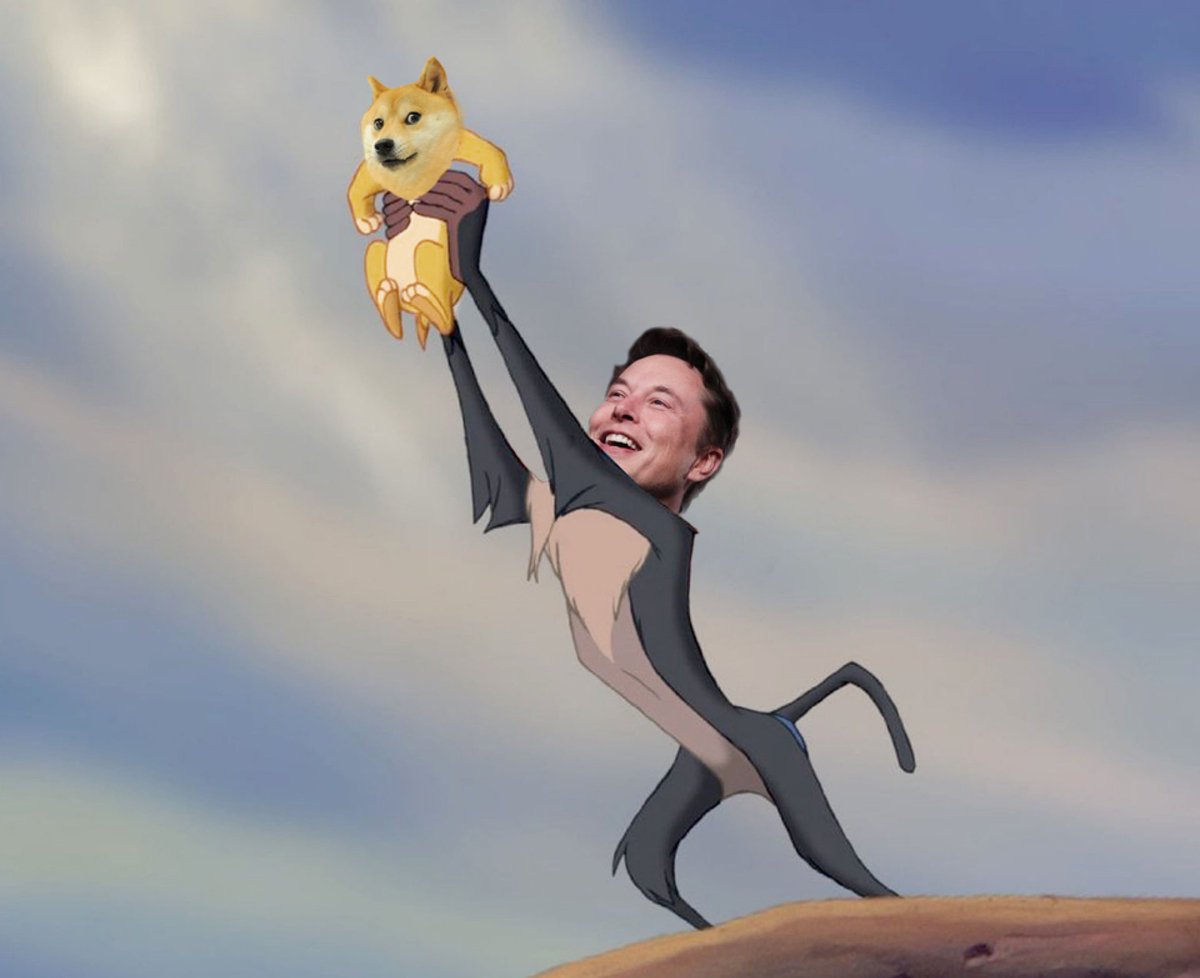 "I do what I can, to support Doge"

一 Elon Musk