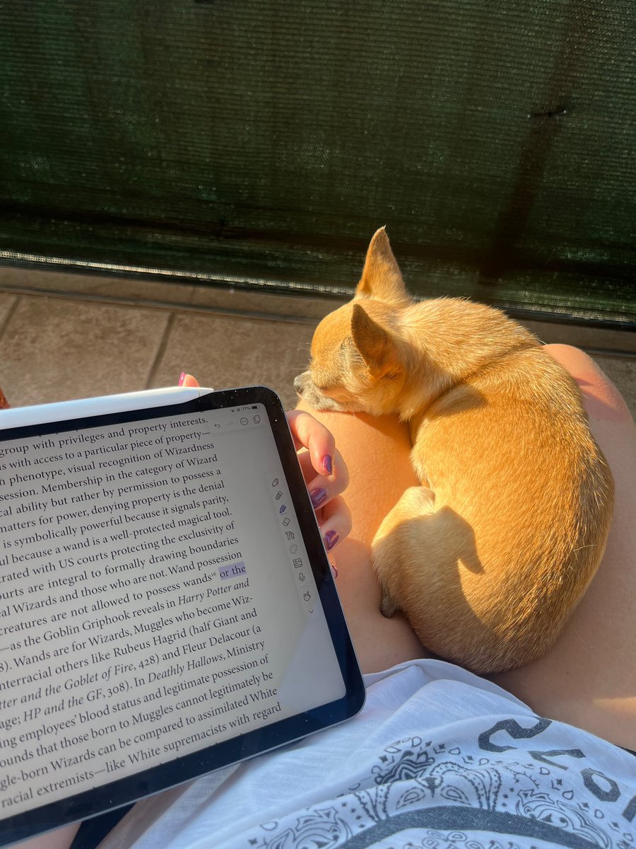 matigraz's tweet photo. Devo studiare un sacco, ma almeno lo faccio a casa di Elisa, senza nessuno, tranne i suoi cani che mi danno le coccole https://t.co/C8PD5qCiuW
