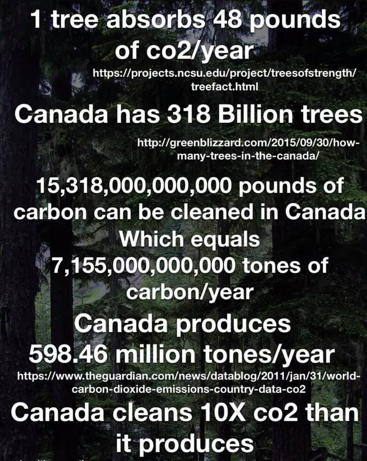 <a href="/ClaytonBurnsPhD/">Clayton Burns</a> <a href="/Dave_Eby/">David Eby</a> <a href="/bcndp/">BC NDP</a> I think our trees are doing a good job.
