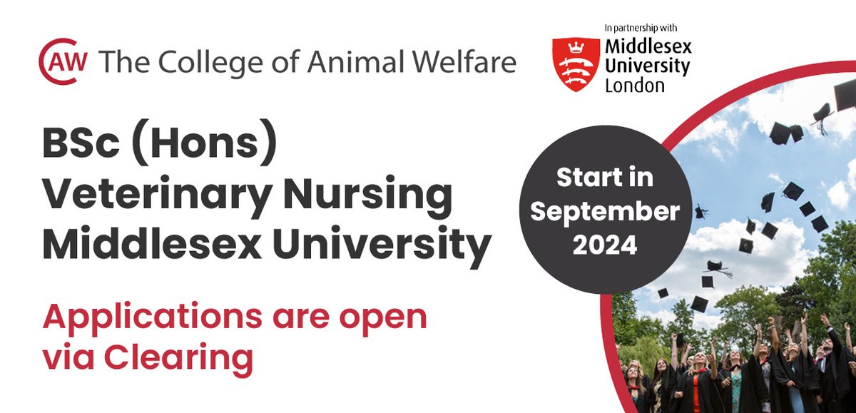 CAWInfo's tweet photo. There's still spaces available on the BSc (Hons) Veterinary Nursing - apply via UCAS Clearing today! Apply to start in September 2024 ➡️https://t.co/H0WRvUNAfF https://t.co/Zovyef5ewa