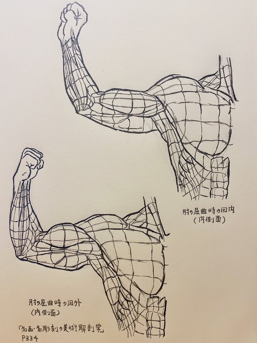 現代美術の部分模写 名画・名彫刻の美術解剖学』 第3部 模写で起伏の感覚を掴む線画集 肘の