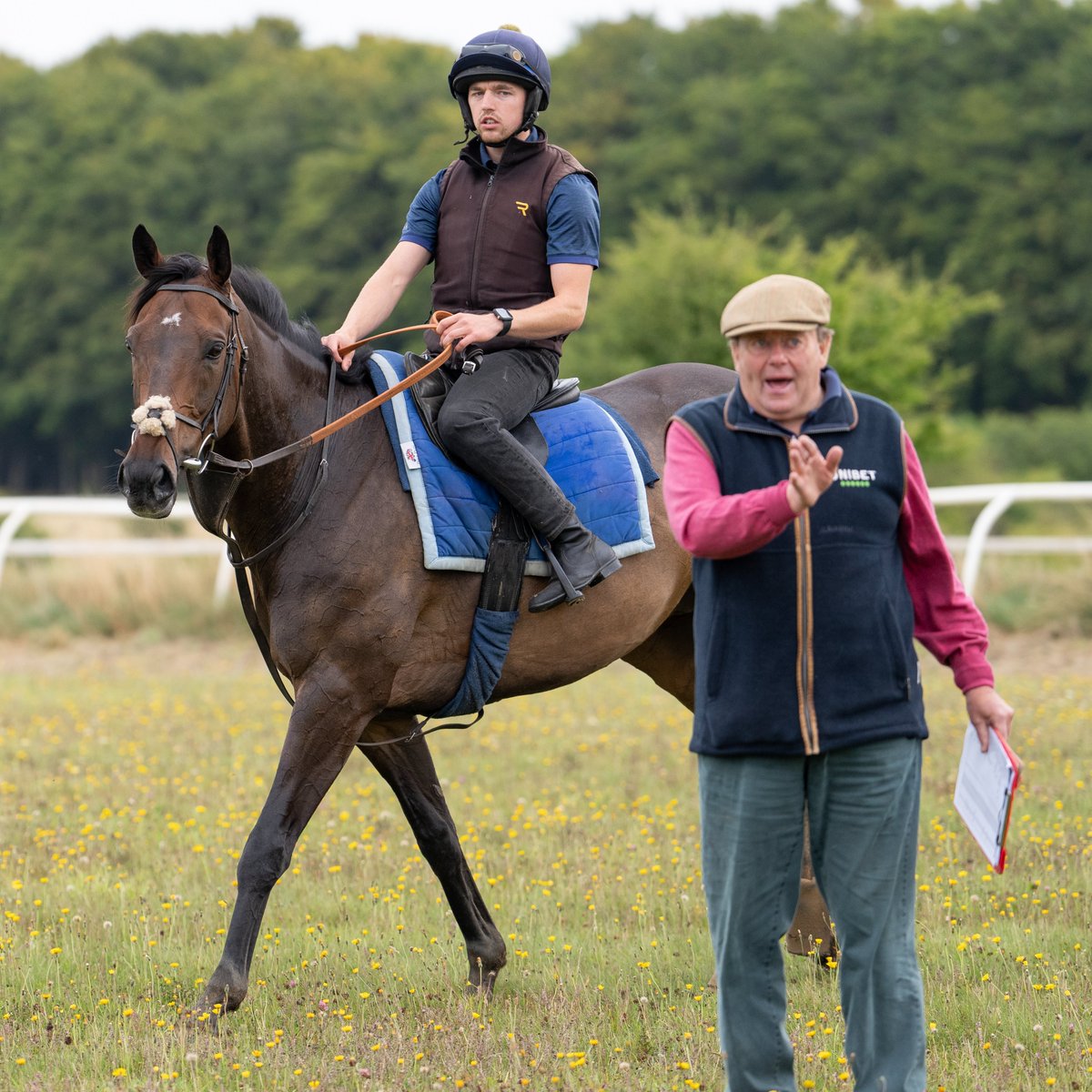 Racing Post tweet media