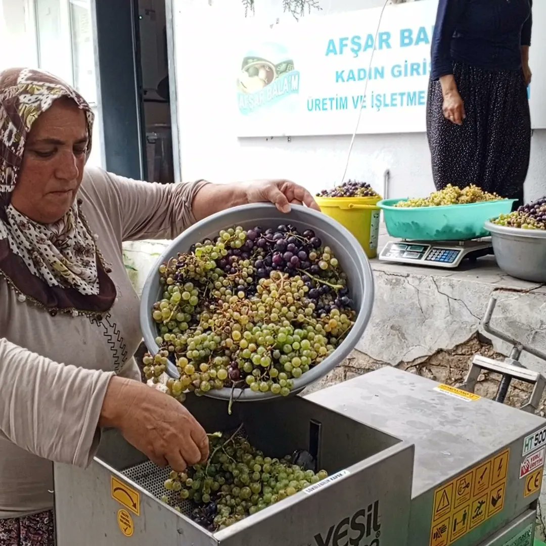 AfsarBala's tweet photo. 100kg üzümde 15kg şıra kârınız oluyor, birtane dahi çekirdeği kırılmadan, gün boyu uğraşmadan zahmetsizce üzümlerinizin şırasını çıkarıyoruz. Elinizle,ayağınızla hiç uğraşmayın. 100kg üzümün çekim süresi 15-20 dakika, hem zamandan hemde üründen kârınız olsun. 🧿🧿🧿 https://t.co/amNTJUJuOo