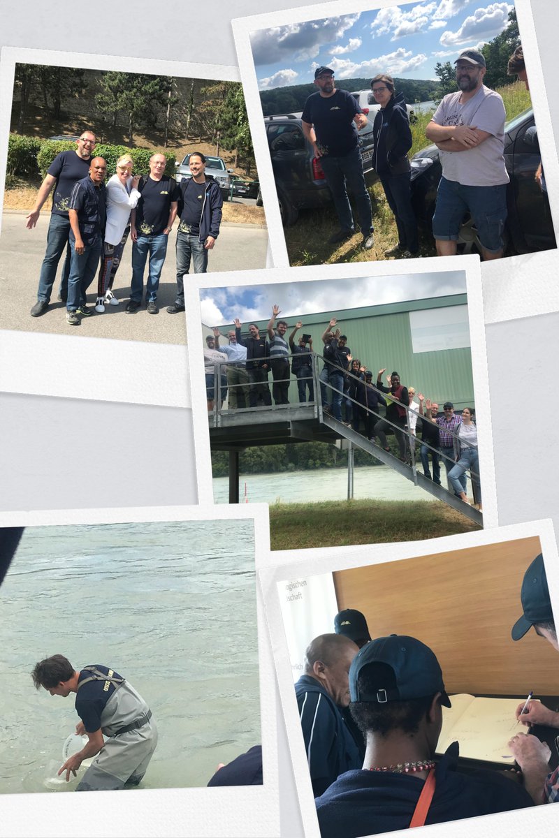 ICPDR_ORG's tweet photo. 🔙 It’s been nearly 6 years since the JDS4, one of the world’s largest river surveys, was conducted across the Danube River Basin. #JDSMemories 
The countdown to #JDS5 has begun, and it's scheduled for release in 2025. 🙌 Follow #ICPDR for all the latest updates and insights! ✨ https://t.co/hUK62jIOhO