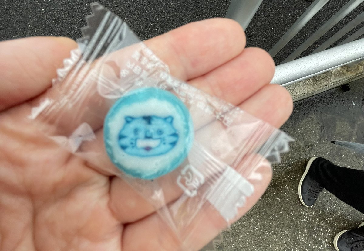 m1zu_ir0's tweet photo. チンタイガーに飴ちゃんもろた https://t.co/xAnYfJU1Ie