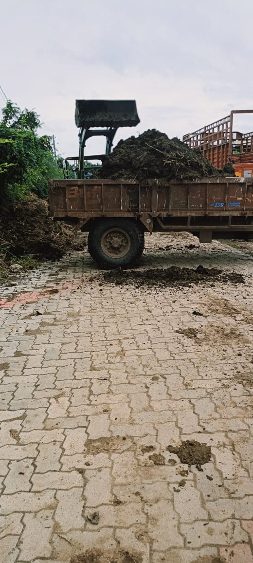 આજરોજ બોટાદ તાલુકાની ઢીંકવાળી ગામે ગ્રામજનો દ્વારા ગંદકી કરવામાં આવેલ હતી જે ઢીંકવાળી ગ્રામ પંચાયતના સરપંચ અને તલાટી કમ મંત્રીશ્રી દ્વારા તે ગંદકી દૂર કરવામા આવી