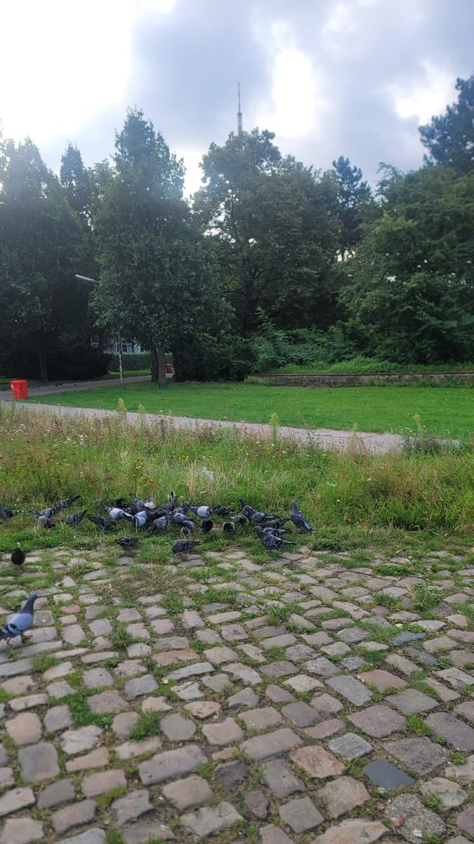 Developer907's tweet image. Quick workout run around #Hamburg