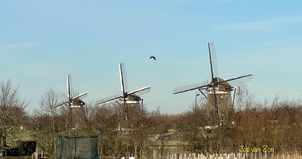 JosVanZon's tweet photo. Goedemorgen allemaal 🙋🏼‍♀️. Vandaag gaan we in de #beau_gustus fotochallenge van @dthta57 op #dag30 spelen met  #herhaling . 
  
#Herhaling #OpEenRij #OpHerhaling #Gestapeld #Drijvend https://t.co/mb6pE1JMxg