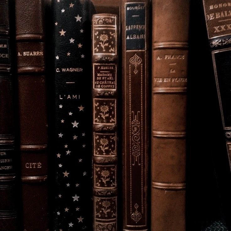 𝗽𝗼̂𝗻𝗲𝗶 𝗱𝗲 𝗳𝗲𝘀𝘁𝗮 tweet media