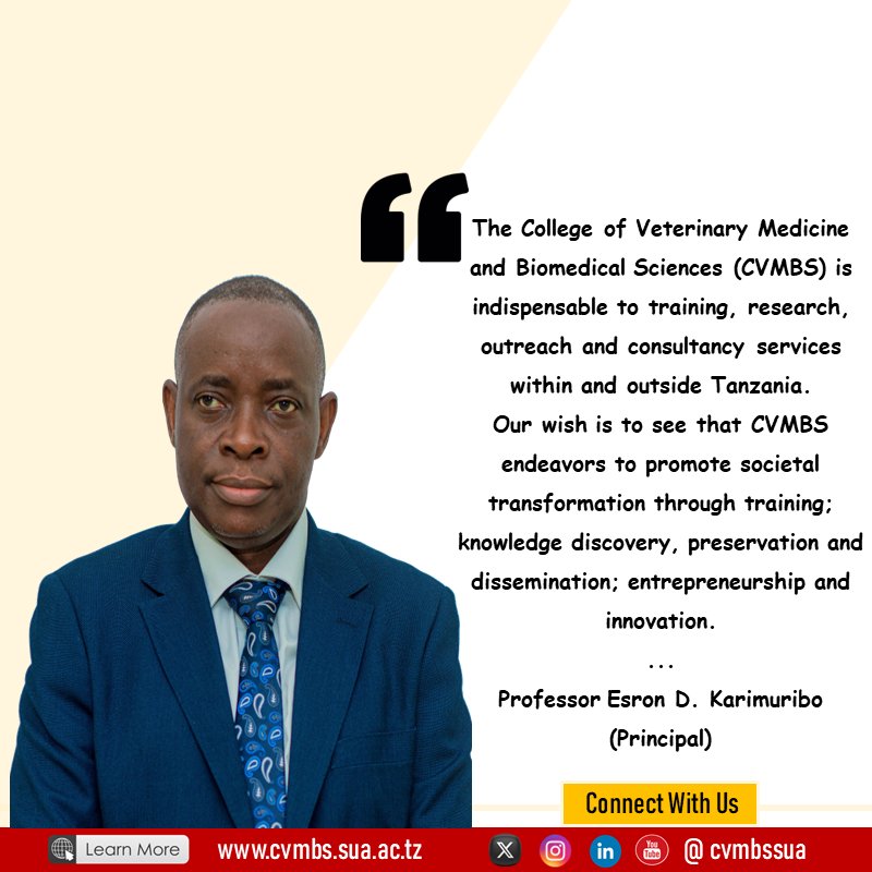 Learn more about us on our website (Link on Bio)