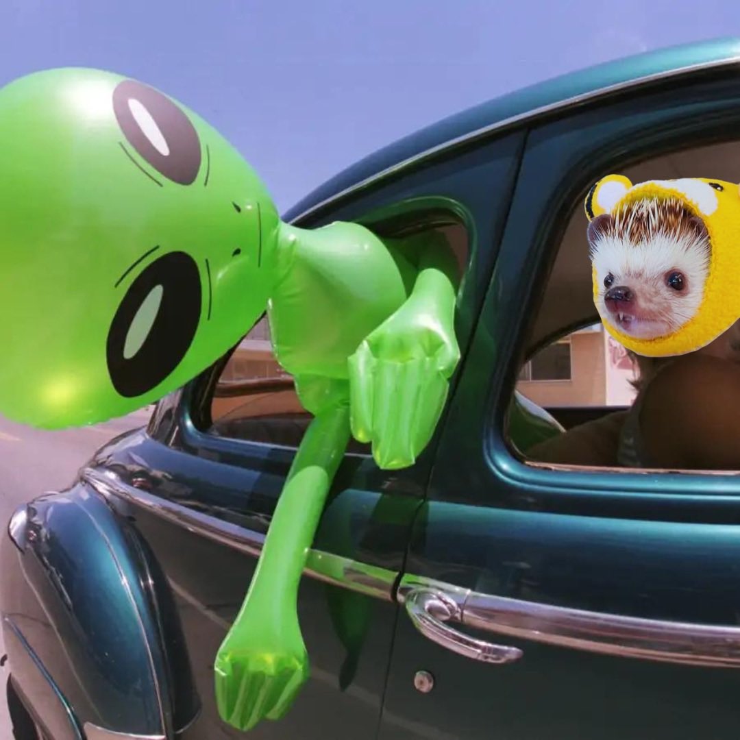 Get in losers!

We’re making hedgehogs and holders happy! 

Hold onto your $HOGGER
