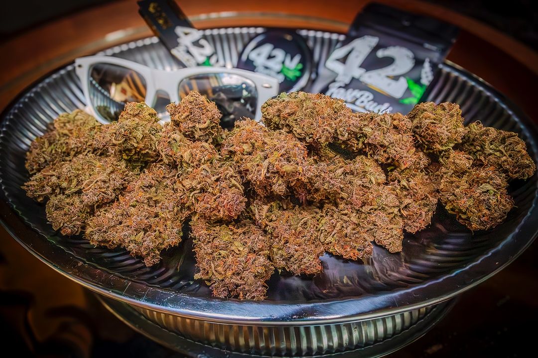 Fast_Buds's tweet photo. 🚨Friday's giveaway!🚨
We are giving away:
+ 10 seeds of the award-winning Fast_Buds
 genetics  that are available on our official website
+ Epic Hoodie
+ Eco-friendly 420 Jar
+ Those special 420 Socks😉
+ Grower Gloves
🚨Rules~
• Follow fast_buds
• Tag 3 friends 
• Like + Retweet
We will announce the winner the next week!
Good luck!
For those who don't want to wait, use code TWITTER for 15% discount 
Next giveaway coming very soon! Stay tuned!
LSD-25 Auto by candy4twenty_de