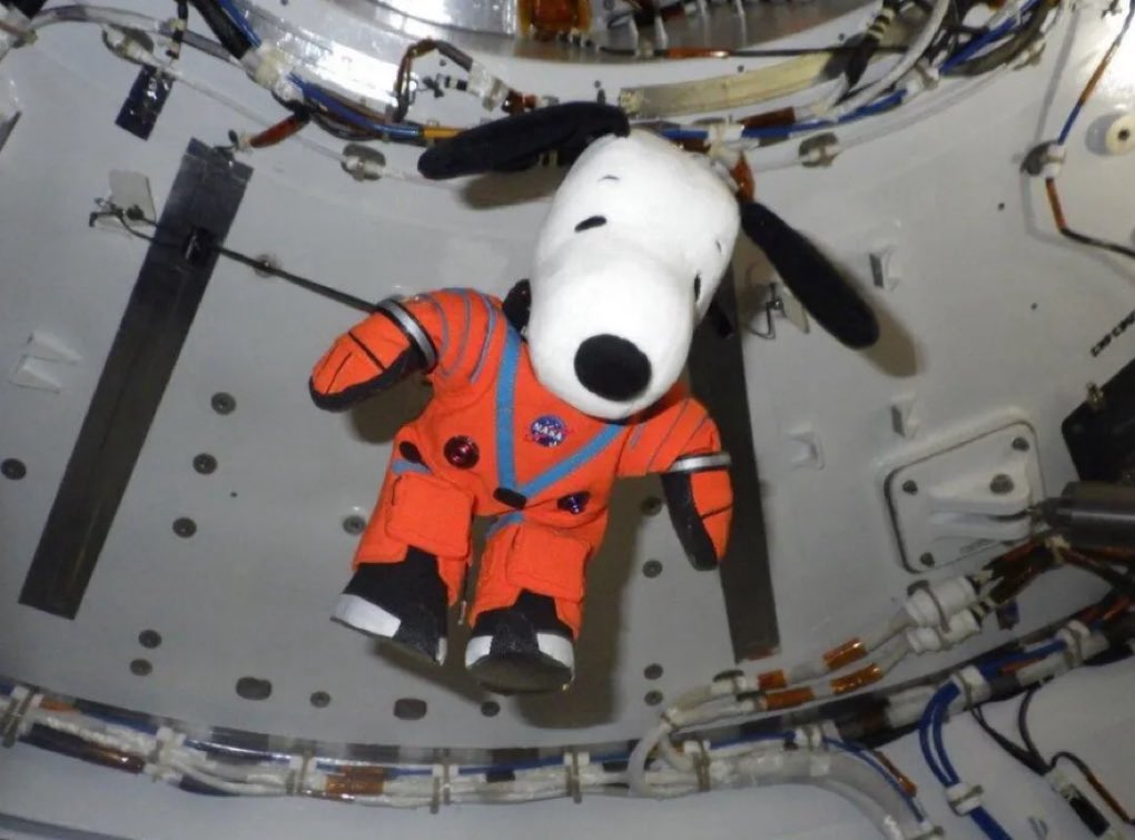 digitalistuit's tweet image. #PolarisDown en cocheras
#PolarisProgram #Spacex