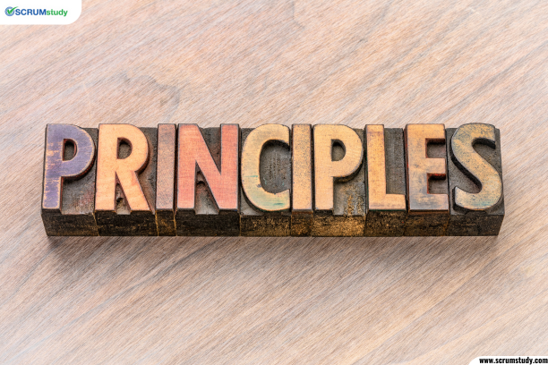 SCRUMstudy_'s tweet image. What are the core principles of Scrum Master certification training?
Click here:tinyurl.com/mt7xhjhe
#Agile #AgileFrameworks #ProjectDelivery #ScrumTraining