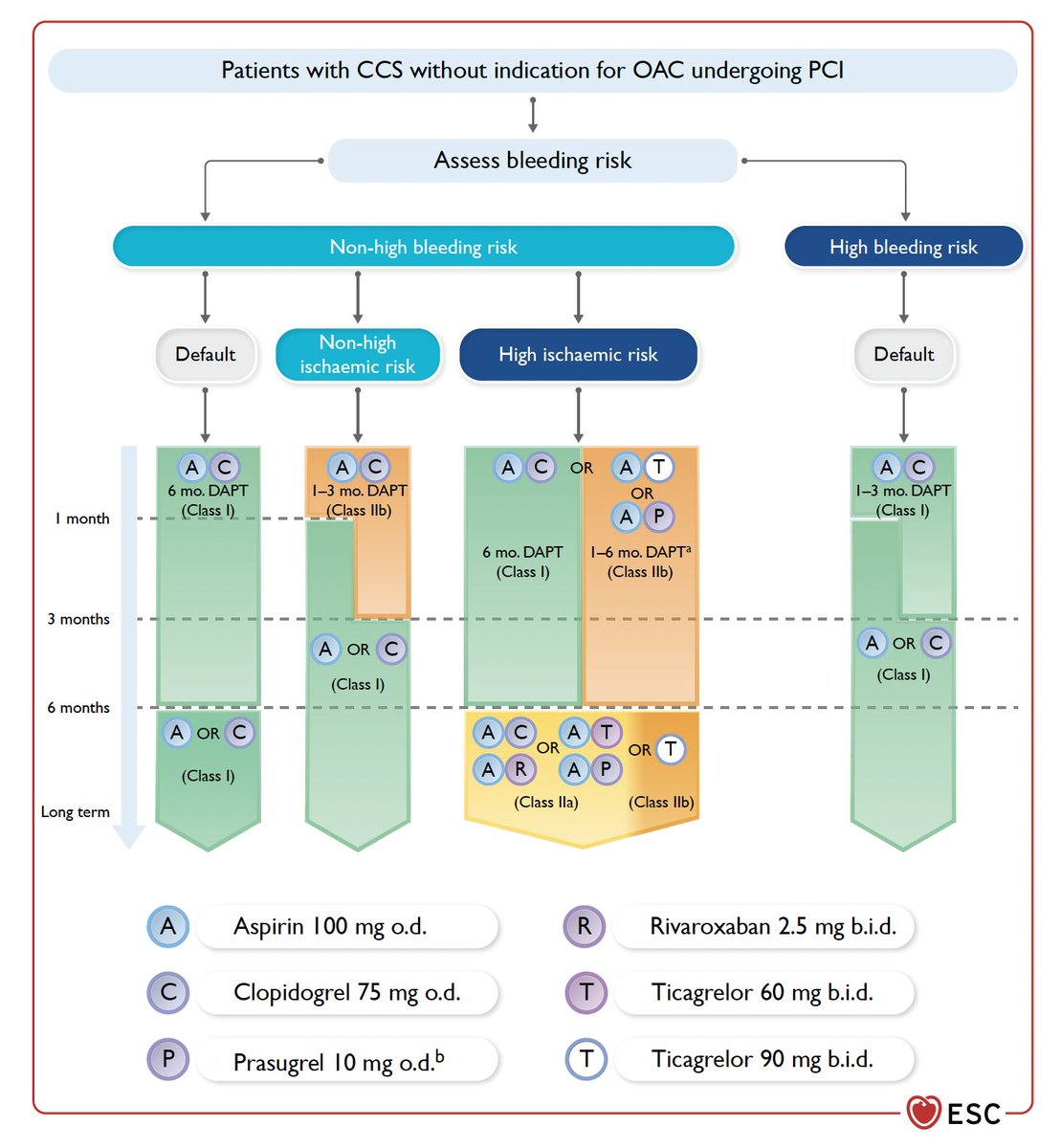 How many times have we seen this flow chart on the duration of DAPT change over the years? Let’s summarize the situation regarding class I recommendations (“must be done”) as reported in the new 2024 guidelines on chronic coronary syndromes:
-  High bleeding risk patient: DAPT