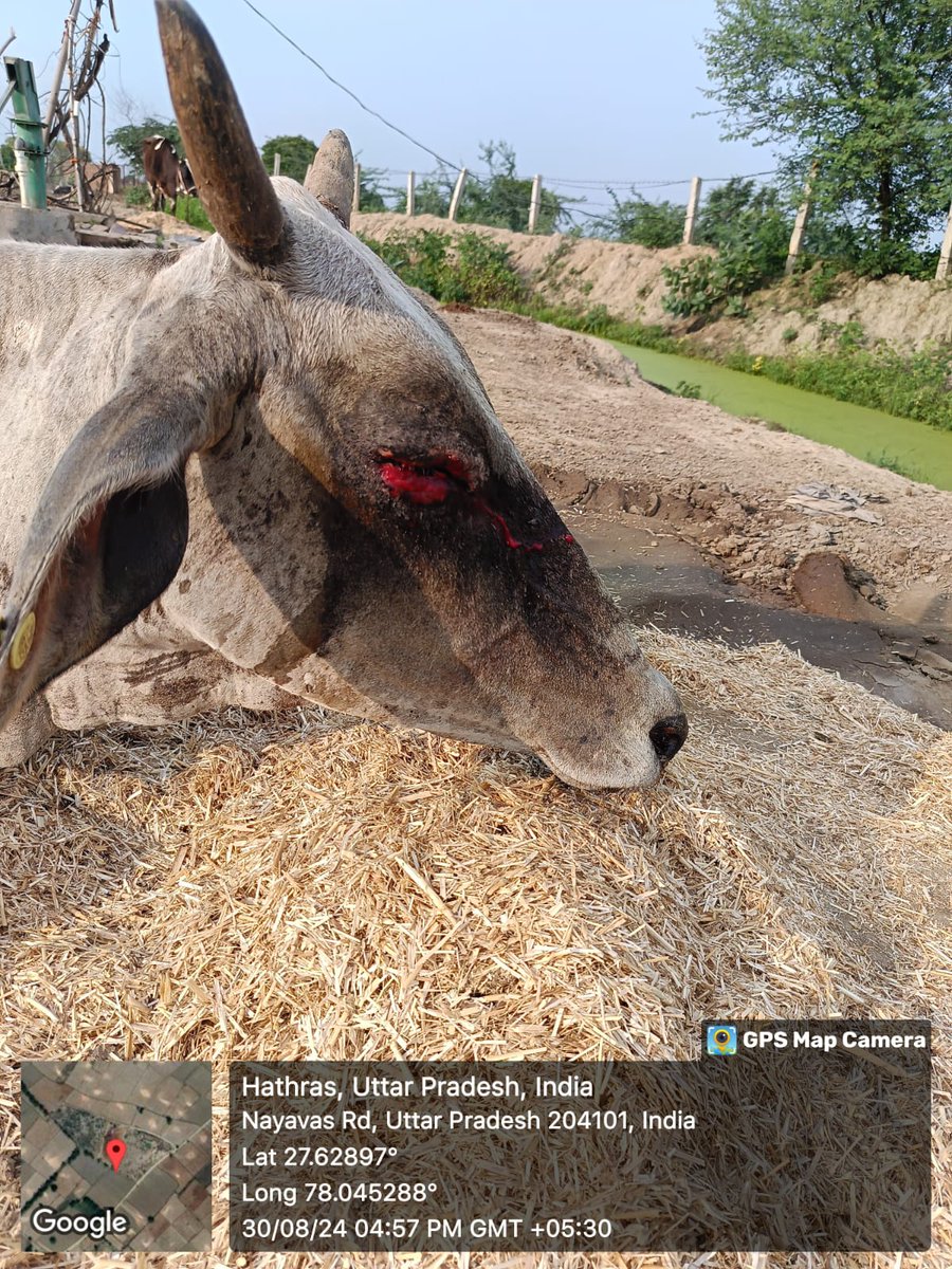 कृष्ण गोपाल शास्त्री प्रदेश संयोजक tweet media