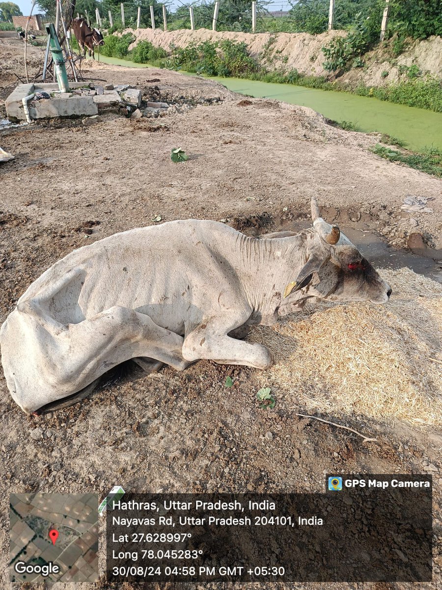 कृष्ण गोपाल शास्त्री प्रदेश संयोजक tweet media