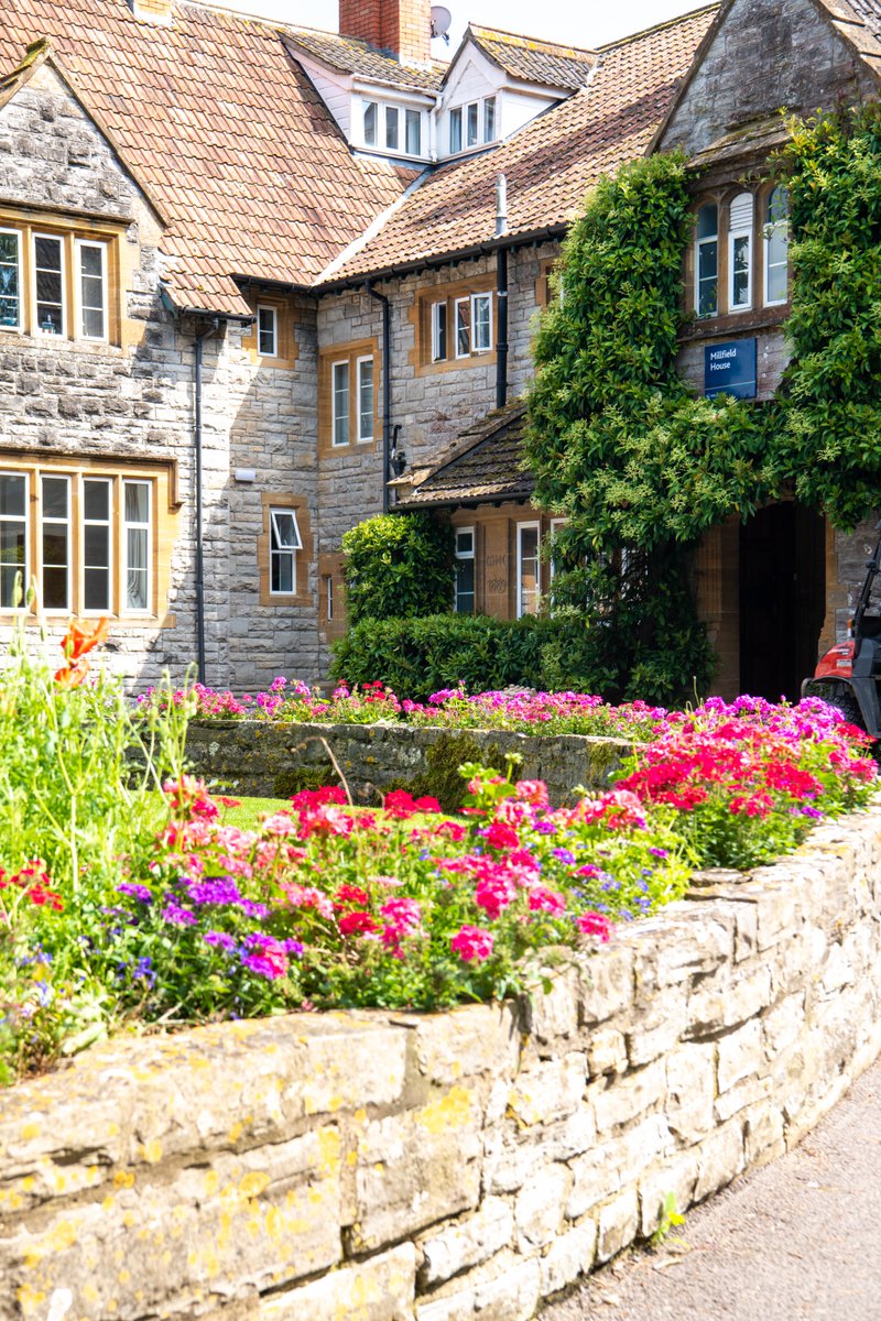 Back to School! ⏰🍂
 
We can't wait to see both our new and returning students back on campus next week! We hope everyone had a wonderful summer, and we're excited for the new academic year ahead 🍎📚