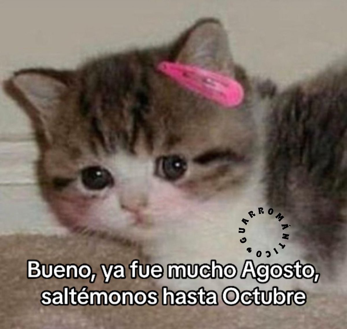 Guarromantico_'s tweet photo. Ya estuvo. https://t.co/ly1VFR3RgN