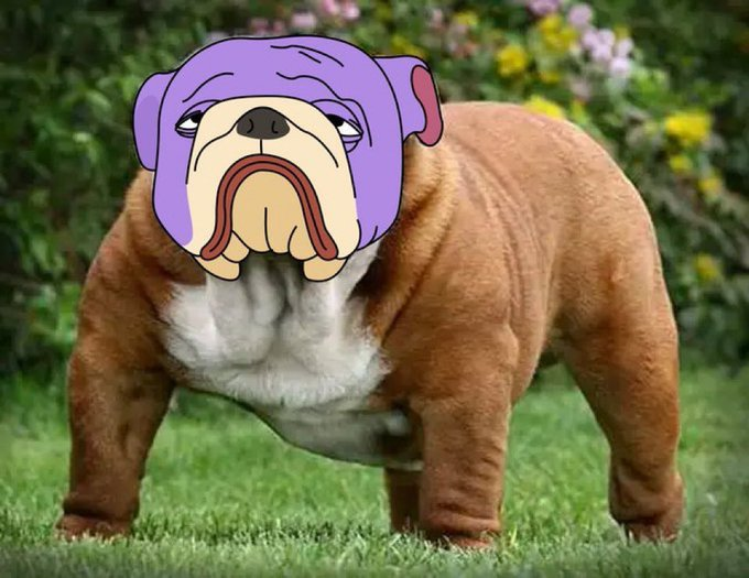 Peylay's tweet photo. @fayc48791 @albertou580185 @dukocoin @srpeters @Between2Cryptos @RocketCrypto69 @mikemelhuis5 @DegenKing21 @Lucsan07 @Justdann99 Purple #BULLDOGRUN ๐๐ถ https://t.co/MhVTiqGYSs