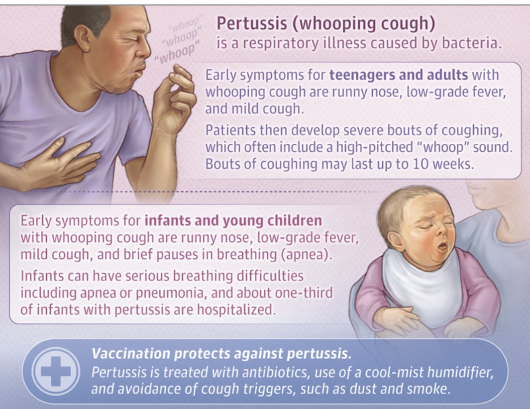What Is Pertussis (whooping cough), Kinkhoest?