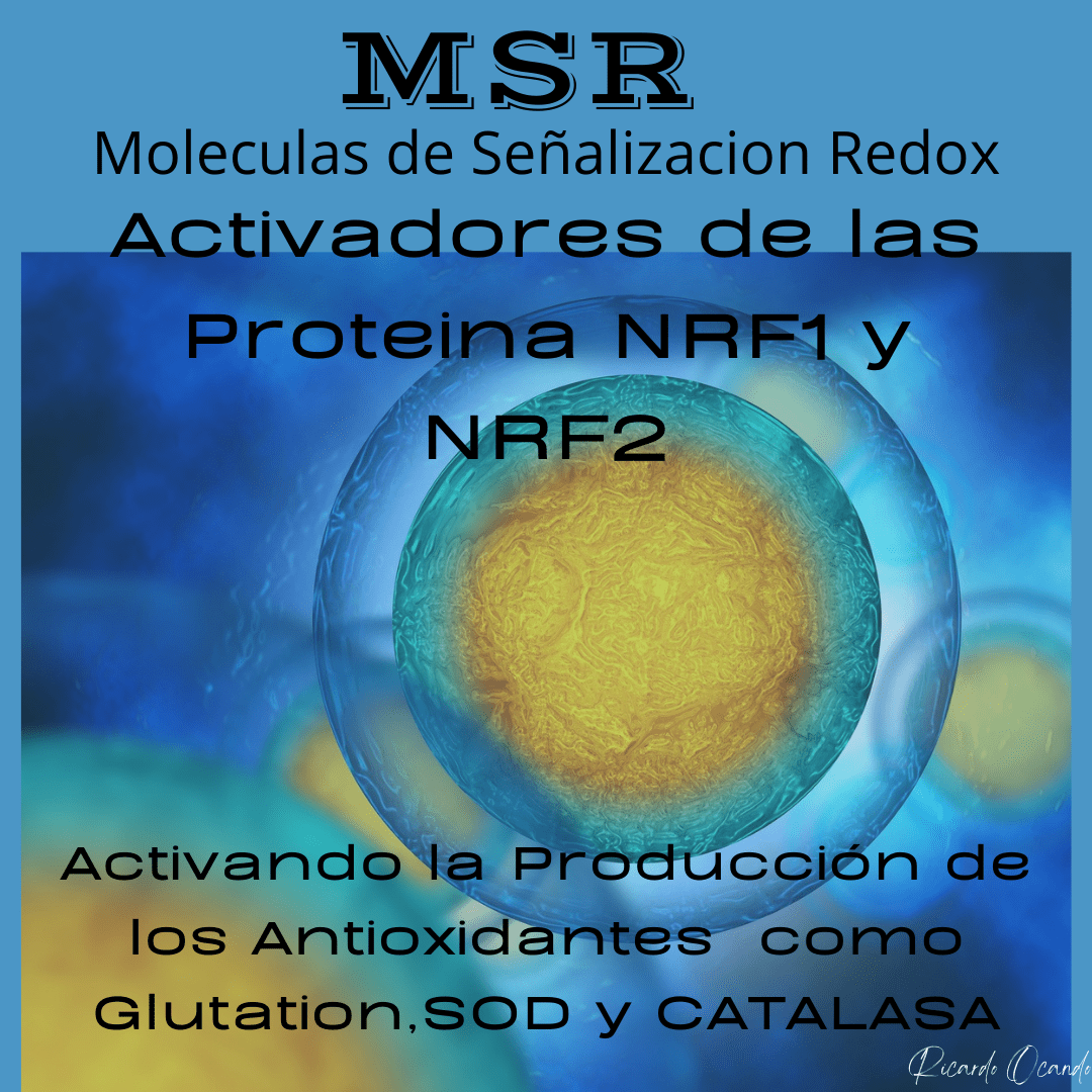 Rickocando's tweet photo. Suplemento Redox como Activador del NRF2 y NRF1 https://t.co/ilxlSXJO9v https://t.co/08xhoov4oB