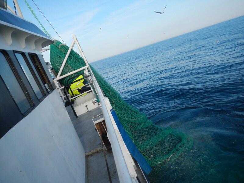 Kystvakten kontrollerer at fiske og fangstfartøy følger gjeldende lover og forskrifter når de fisker i norske farvann. Et dansk fiskefartøy som fisket i Nordsjøen ble etter besøk fra Kystvakten anmeldt til Politiet. Kystvakten foretar mer enn 1000  fiskeriinspeksjoner i året.