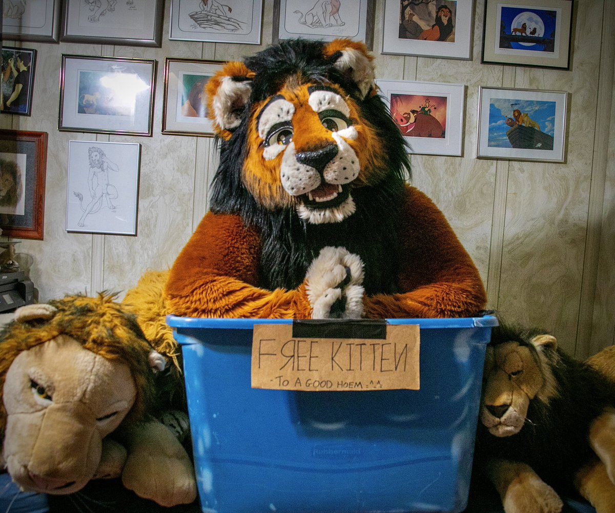 There’s a kitty up for adoption!

- Housebroken
- Current on shots 
- Won’t tear up furniture
- Enjoys mane scritches &amp; bellyrubs
- Affectionate, loves to cuddle

He’s a big boy &amp; looks intimidating, but is a real sweetheart ❤️

Will you take him home this #FursuitFriday?

🥺🥺🥺