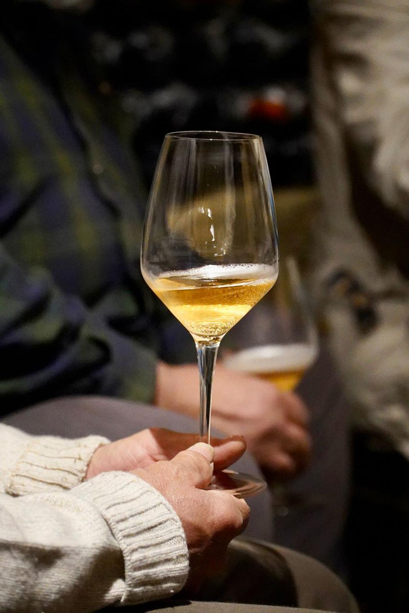 MILLEVIGNE (@millevigne) on Twitter photo Il Grignolino del Monferrato Casalese sarà anche Metodo Classico a partire dalla vendemmia 2024 <a href="/vignaioli/">Vignaioli Piemontesi</a> #grignolino #metodoclassico #bollicine Il Grignolino del Monferrato Casalese sarà anche Metodo Classico a partire dalla vendemmia 2024 <a href="/vignaioli/">Vignaioli Piemontesi</a> #grignolino #metodoclassico #bollicine