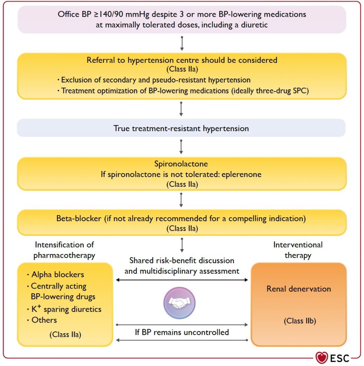 Syed Ali Naqvi (@syedynaqvi1) on Twitter photo Excellent work by <a href="/Nawaz_ZS/">Nawaz Z Safdar</a> and <a href="/cardiacshah/">Usman Shah</a> writing this up.
New ESC guidelines 👇🏽
This is exactly the algorithm we followed to treat this patient. It is unclear why she had a super-response. She had syncope/dizziness after hospital discharge. <a href="/drandrewsharp/">Andrew SP Sharp</a>
#CardioTwitter Excellent work by <a href="/Nawaz_ZS/">Nawaz Z Safdar</a> and <a href="/cardiacshah/">Usman Shah</a> writing this up.
New ESC guidelines 👇🏽
This is exactly the algorithm we followed to treat this patient. It is unclear why she had a super-response. She had syncope/dizziness after hospital discharge. <a href="/drandrewsharp/">Andrew SP Sharp</a>
#CardioTwitter
