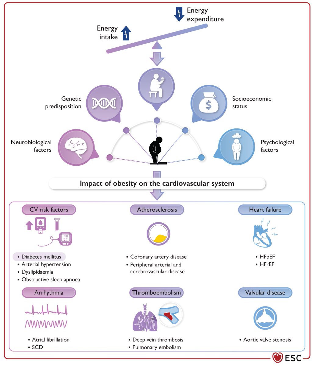 EHJ Editor-in-Chief (@ehj_ed) on Twitter photo Obesity and cardiovascular disease: an #ESC clinical consensus statement:
academic.oup.com/eurheartj/adva…
#obesity #CVD <a href="/escardio/">European Society of Cardiology</a> <a href="/ESC_Journals/">European Society of Cardiology Journals</a> Obesity and cardiovascular disease: an #ESC clinical consensus statement:
academic.oup.com/eurheartj/adva…
#obesity #CVD <a href="/escardio/">European Society of Cardiology</a> <a href="/ESC_Journals/">European Society of Cardiology Journals</a>
