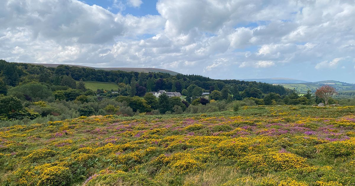 Yesterday was our annual Day of Prayer; 🙏 spending time away from our busy daily tasks and praying as a team, for the centre and those involved in every part of it. We ended the day with a prayer walk and of course the incredible view from Cripdon rock! 😉 🙂