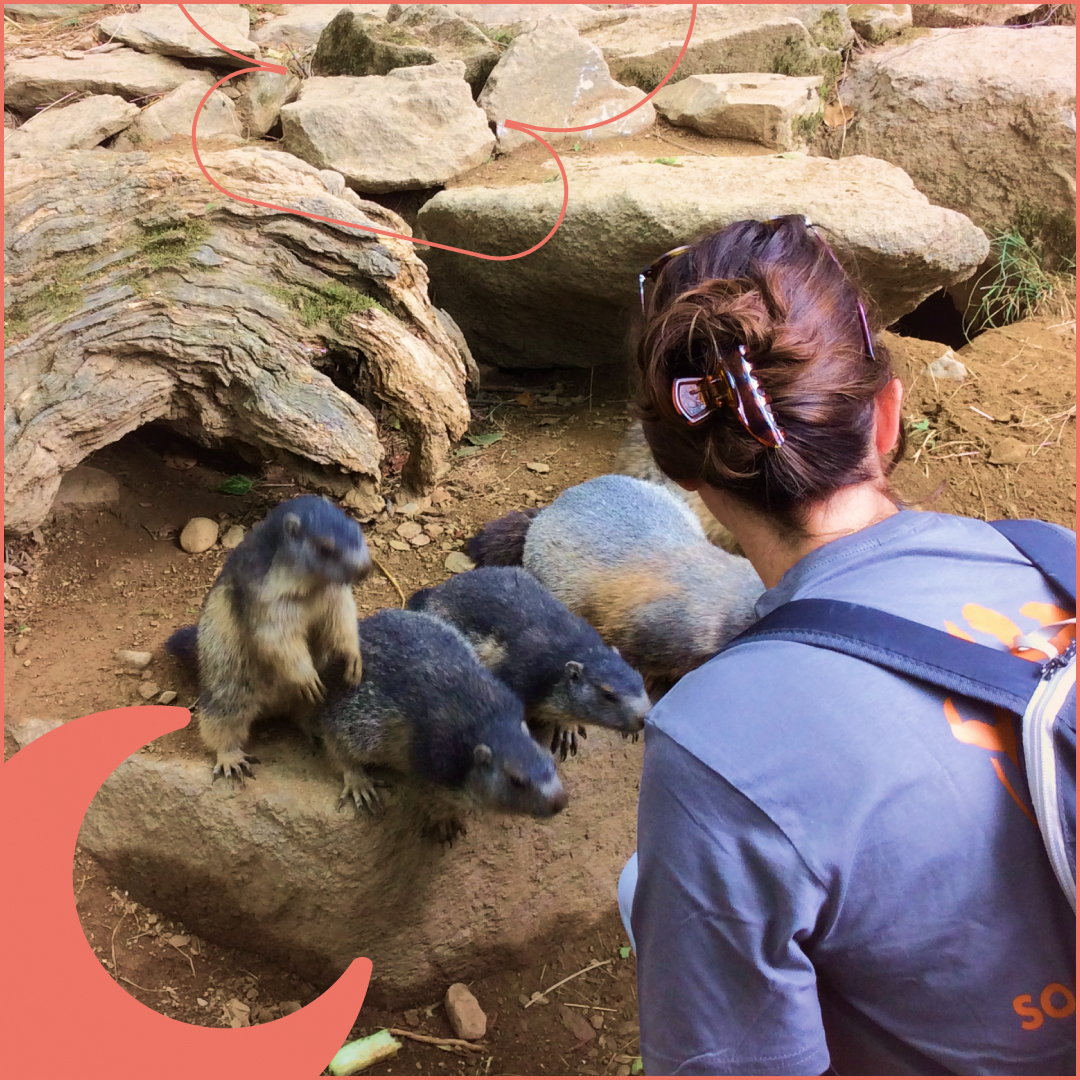 Summer was good, summer was hot...according to all of our adventuring teammates.

Romain, Alice, Daniel, and Pierre each had unique adventures this summer !

Wishing everyone a smooth transition !

#backtoschool