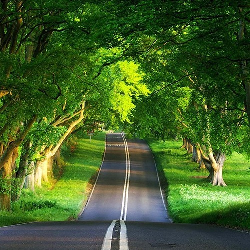 water_planet's tweet photo. Oak Tree Road, Ireland #OakTreeRoad #Ireland https://t.co/s7o61U3cQo https://t.co/GhRc2LnkrZ