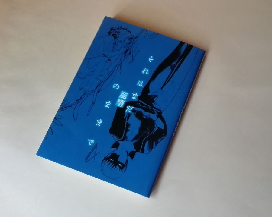 「装丁を頑張り同人誌、これ 」|塩漬けイワシのイラスト