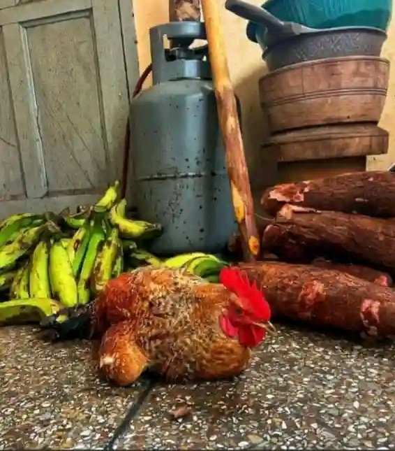 Ojwang Junior tweet media