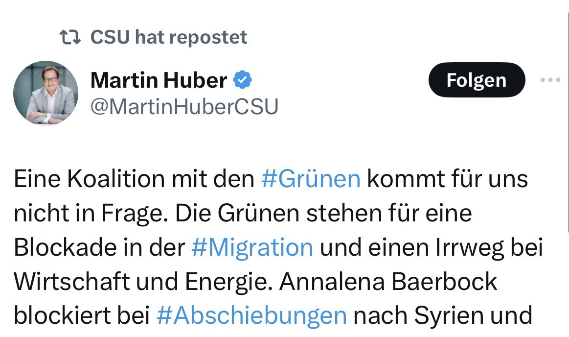 Anna Cavazzini tweet media