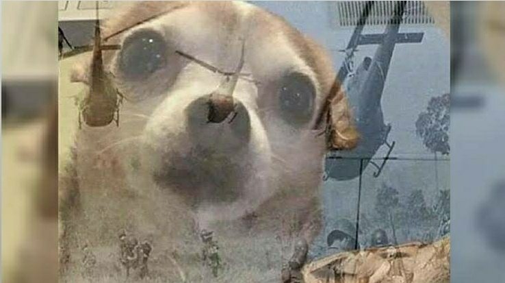 Impopularidad's tweet image. Apagón nacional.

*La mente de los venezolanos: