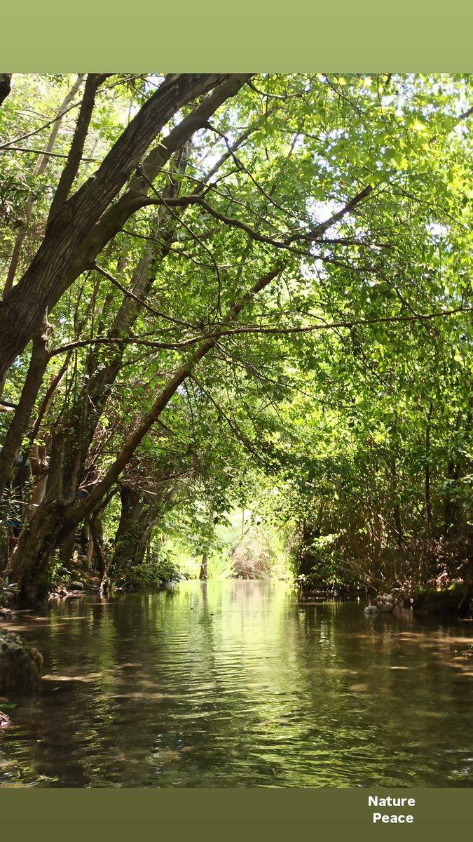 Dile süküt düşmüşse,yara derindir.
Yara derinse,Allah kerim'dir.