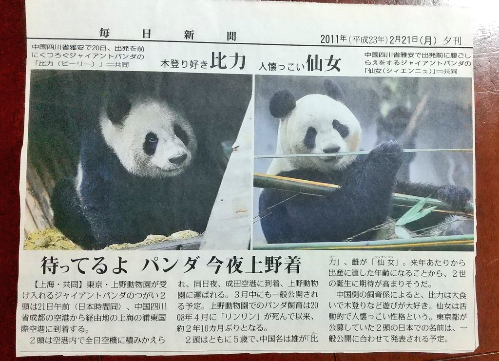 激☆レア♪　上野動物園・パンダ・40周年記念・非売品、缶バッチ♪ 激☆レア♪ 上野動物園・パンダ・40周年記念・非売品、缶バッチ
