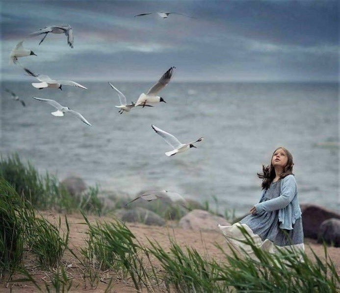 مساء الخير ..♥️✨🕊️

قد تفقد أشياء جميلة وتظن بأنها لا تُعوض ثم تتفاجأ أن الله يعوضك بأشياء أجمل تنسيك ما لا يُعوض