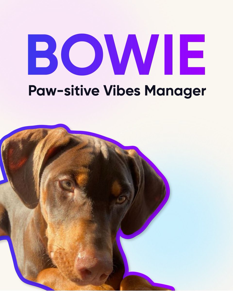 MongooseSocial's tweet photo. Meet The Team's Doggos 🐶✨

Swipe for cuteness 👉

#Cuteness #Puppies #MarketingAgency #Marketing https://t.co/2jq2548YPr