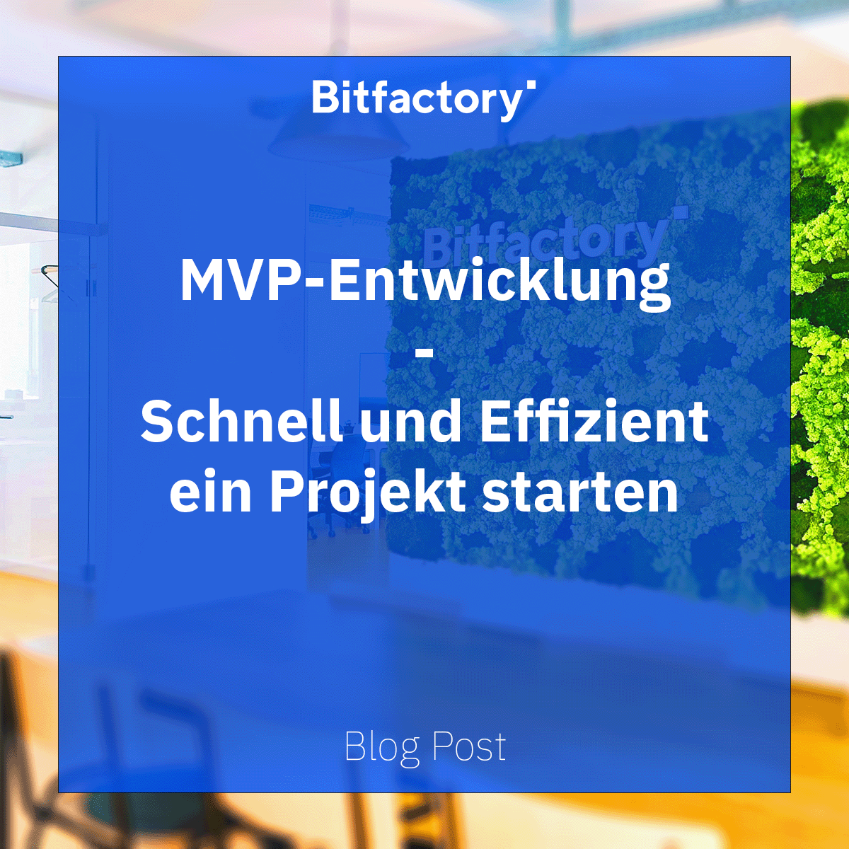 bitfactoryio's tweet photo. 💡 Dein Produkt muss nicht perfekt sein – starte mit einem MVP!

🚀 Mit einem Minimum Viable Product kommst du schneller ans Ziel und kannst effizient Feedback sammeln. Erfahre mehr in unserem Blog!

🔗 https://t.co/725QSwgd4n
#IT #AppEntwicklung #SoftwareEntwicklung #MVP https://t.co/m4PL7u7XLL