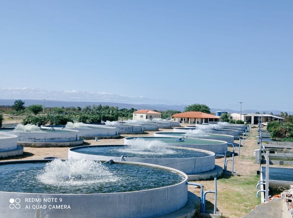 IceProcess59642's tweet image. Recirculating aquaculture system