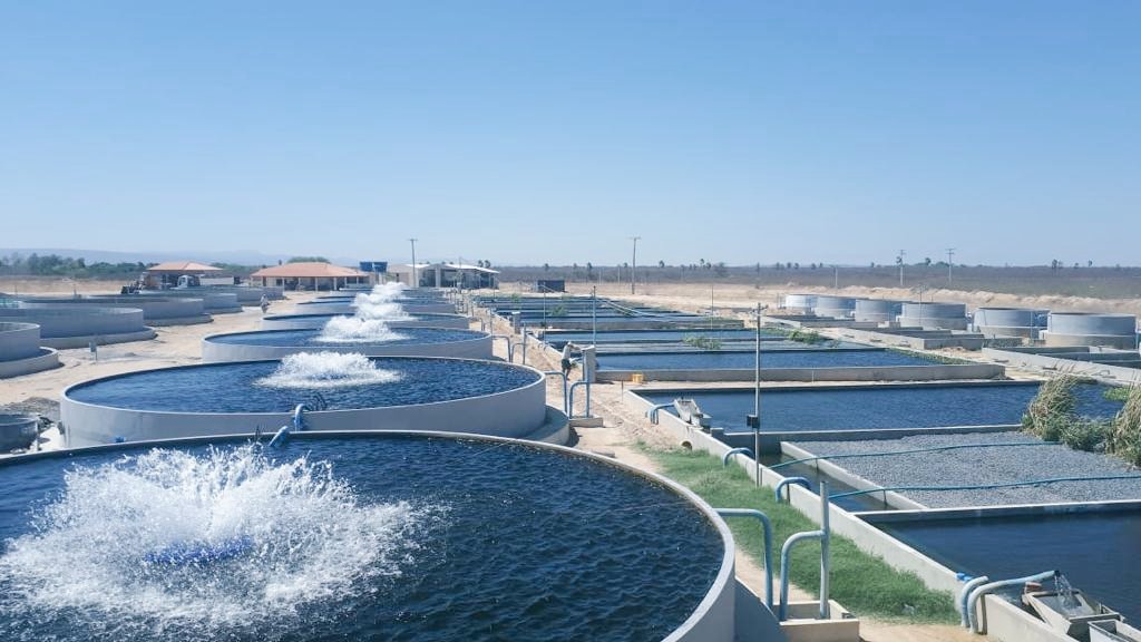 IceProcess59642's tweet image. Recirculating aquaculture system 83008 74712